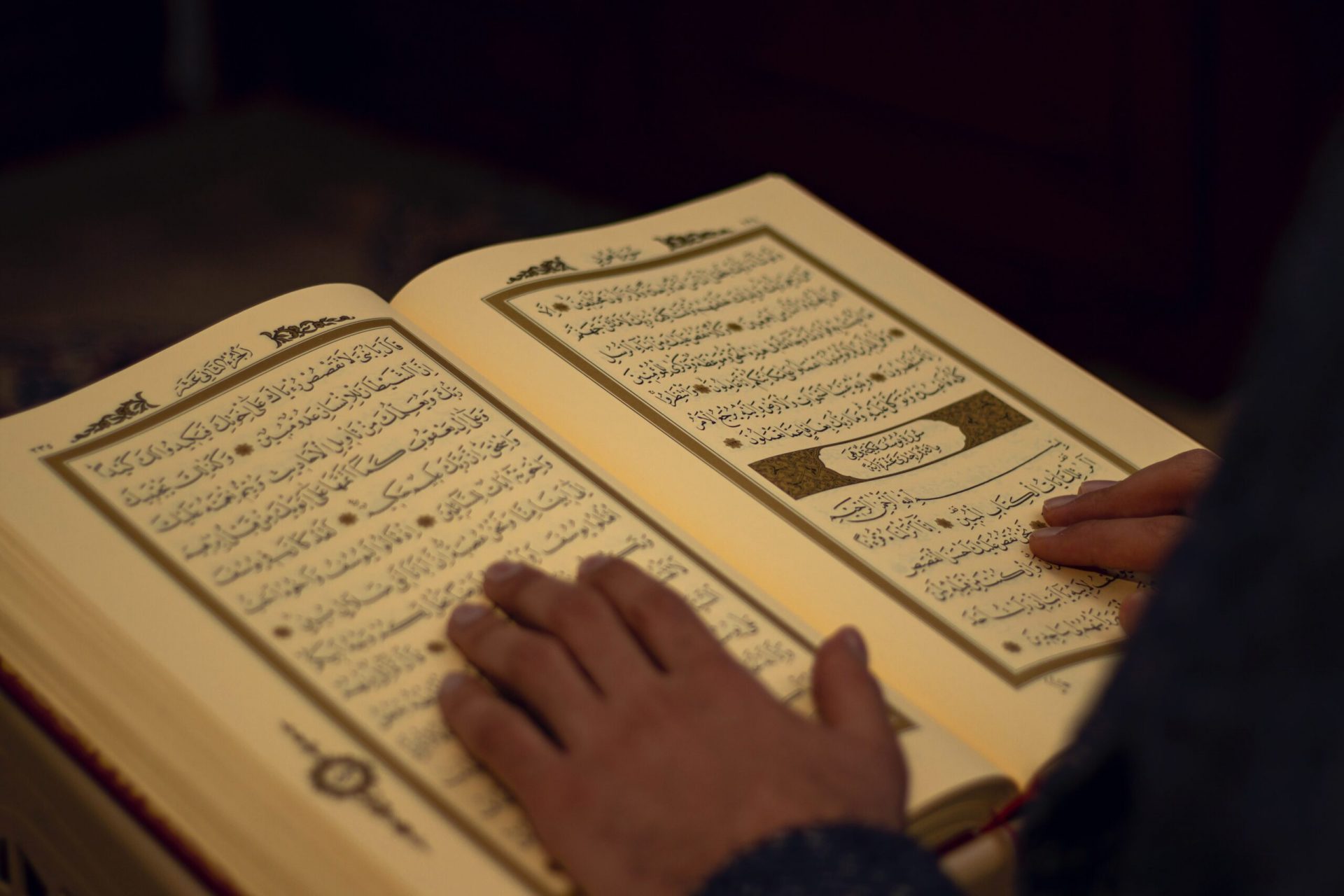 The Best Reciters Of Quran In Islamic World Murouj Academy